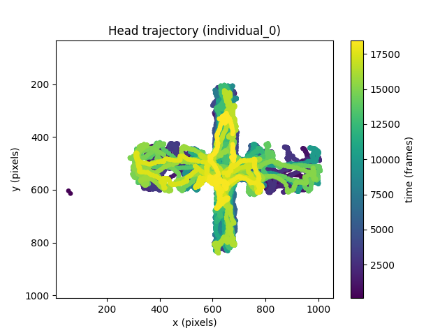 Head trajectory (individual_0)