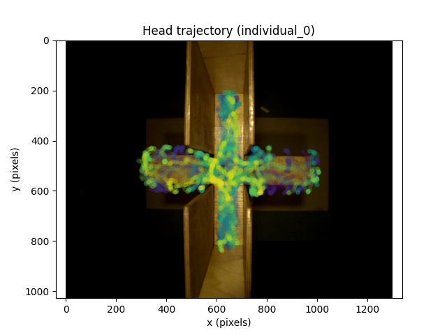 Head trajectory (individual_0)