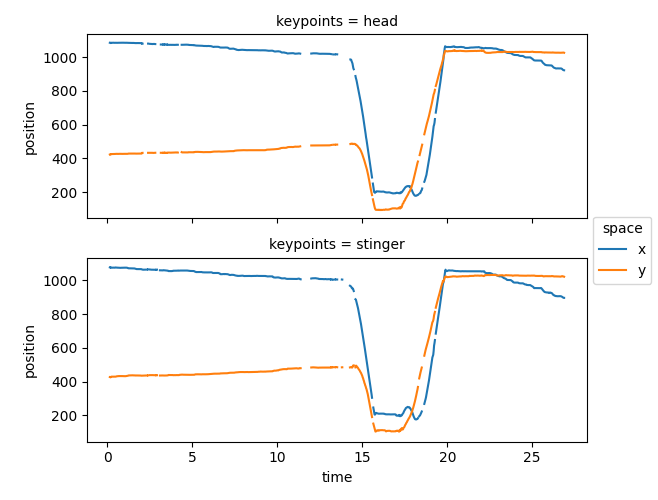 keypoints = head, keypoints = stinger