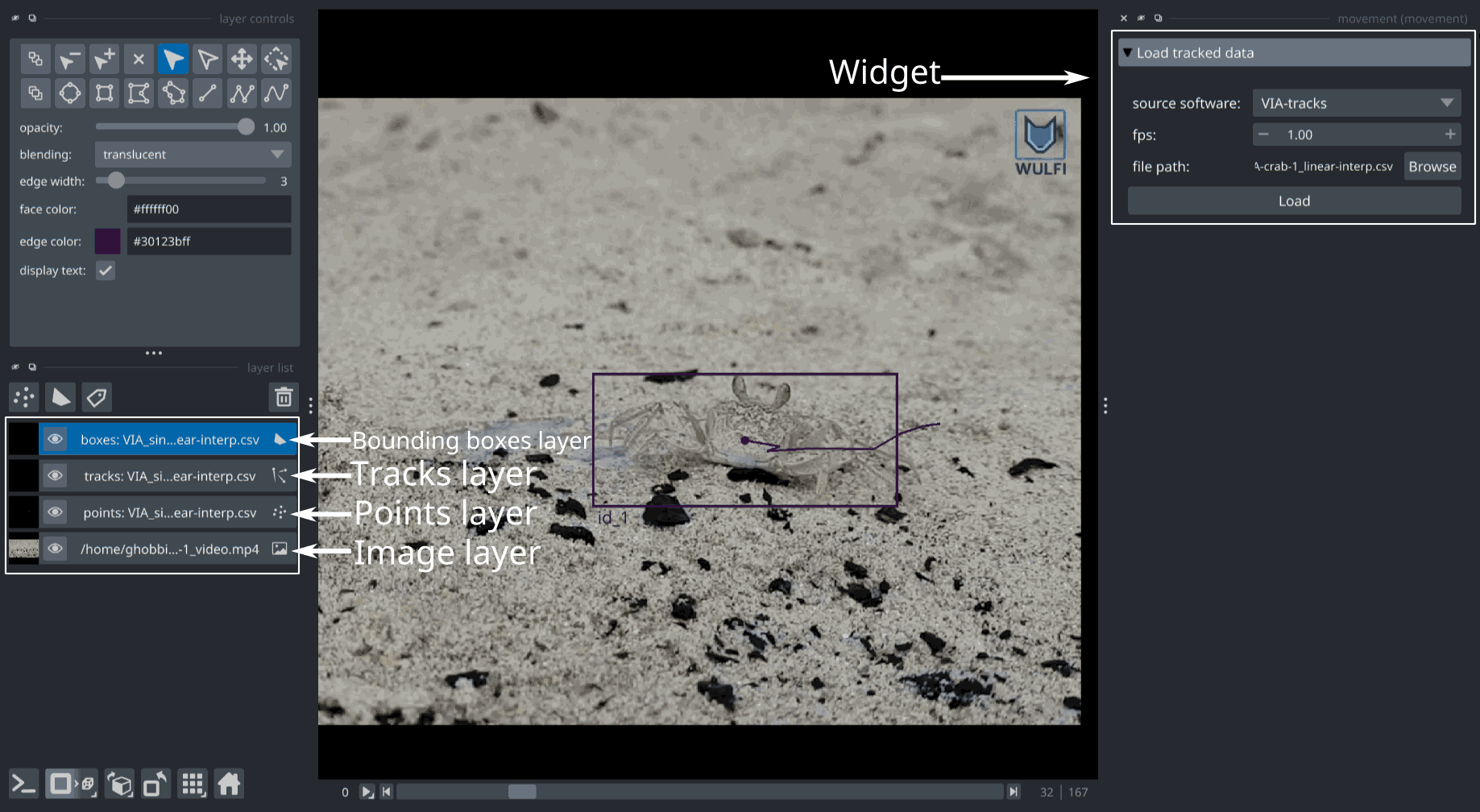 napari widget with shapes loaded