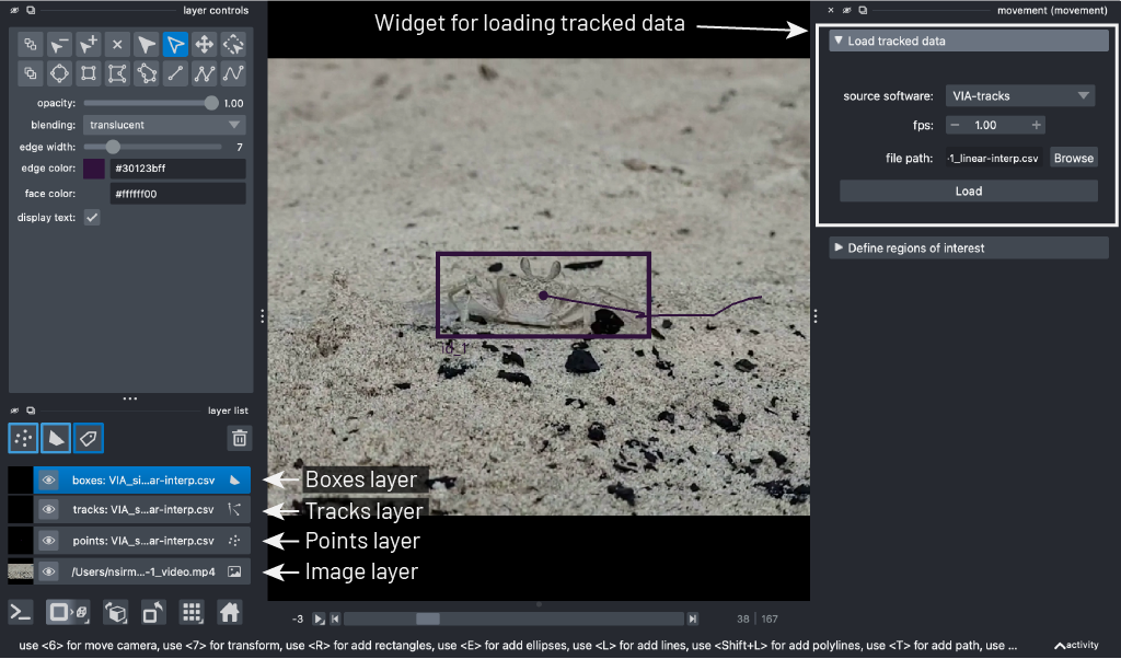 napari with bboxes dataset loaded