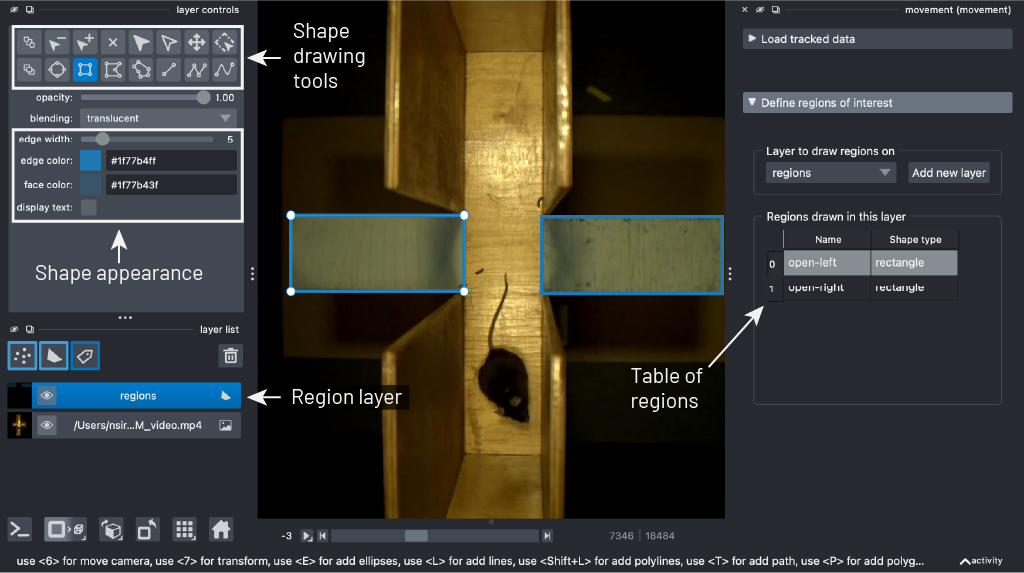 napari drawing regions