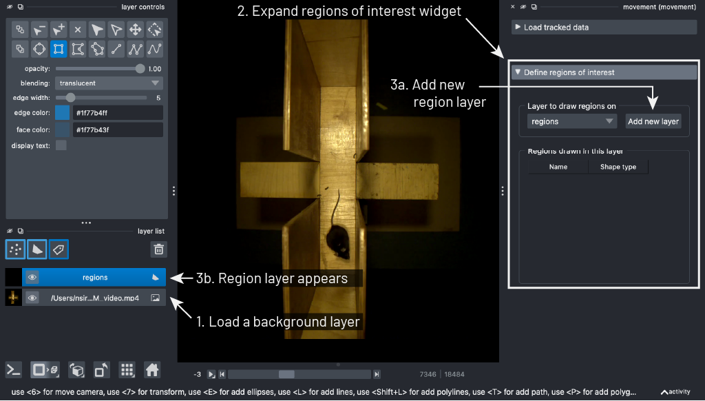 napari new region layer