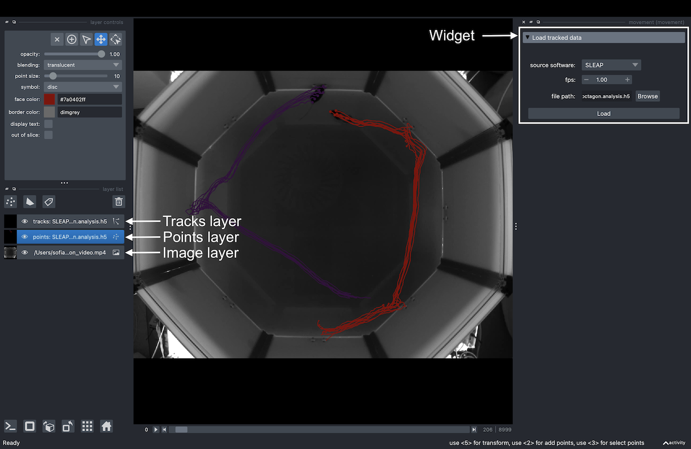 napari widget with poses dataset loaded