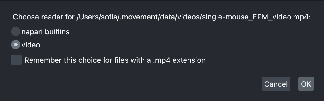 napari widget video reader