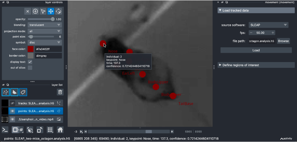 napari points tooltip