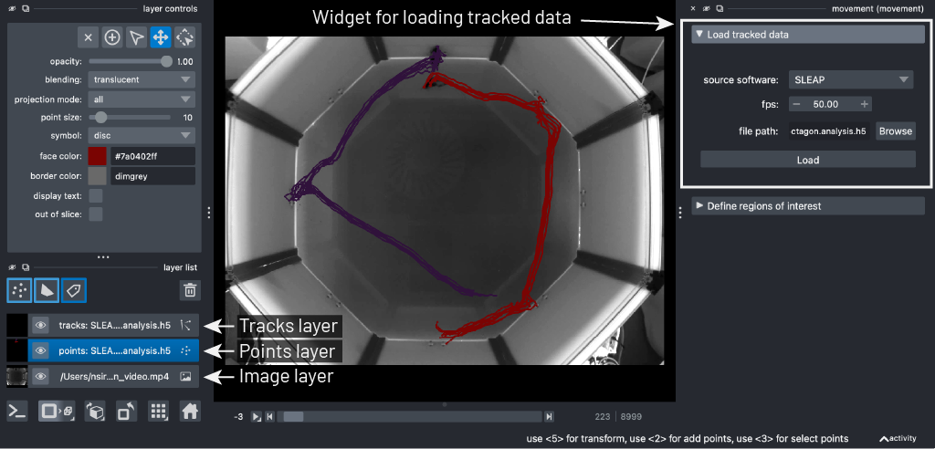 napari with poses dataset loaded