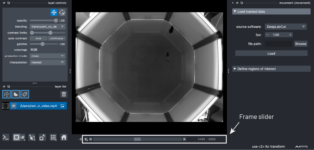 napari video slider