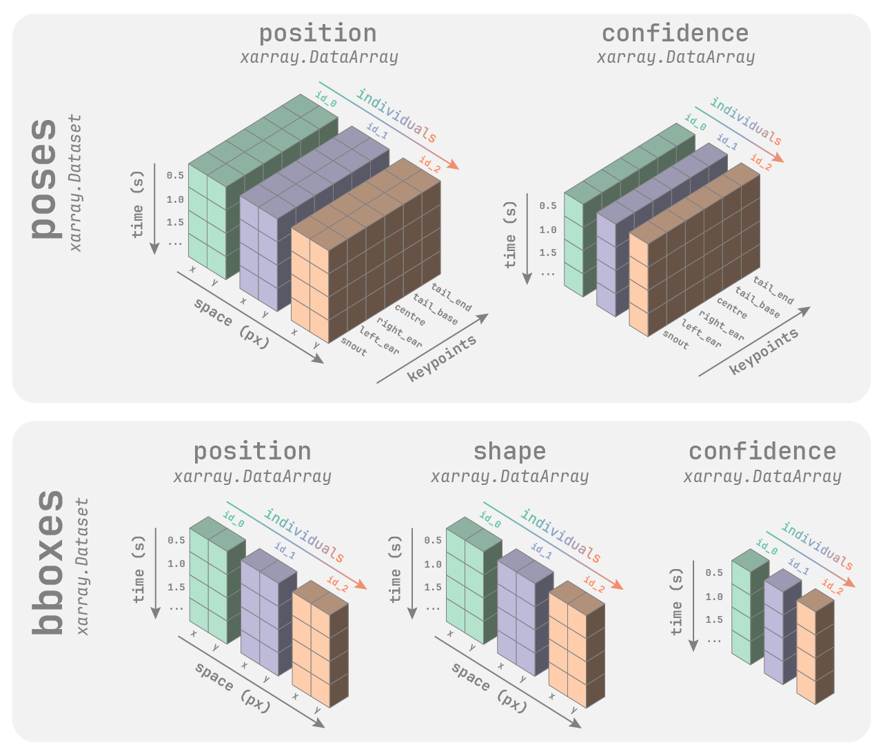 movement dataset structure