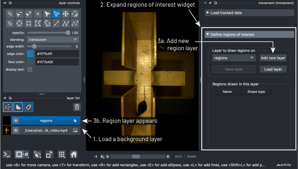 napari new region layer
