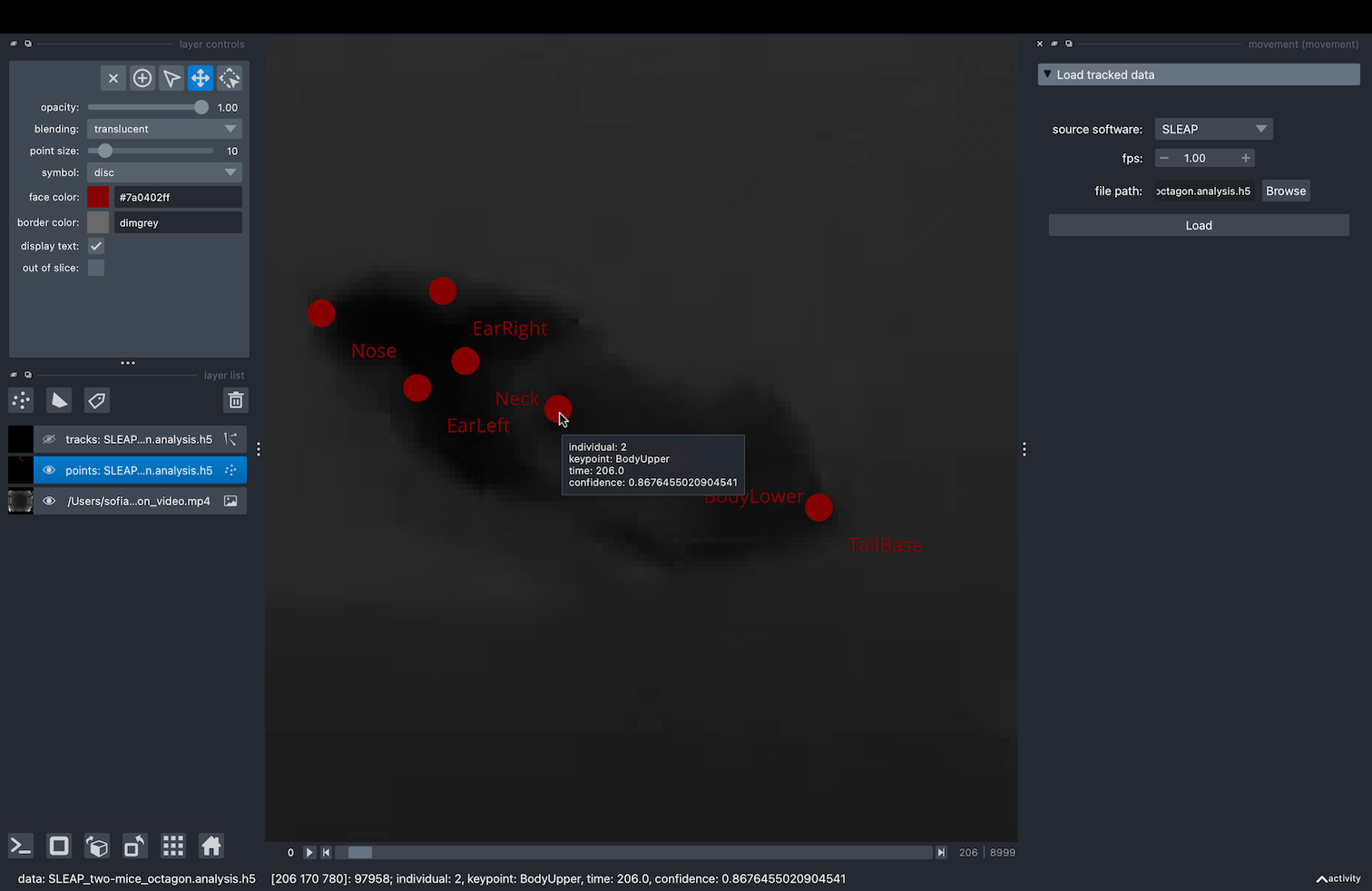 napari points layer tooltip