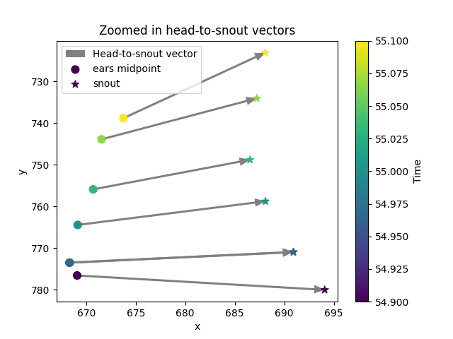 Zoomed in head-to-snout vectors