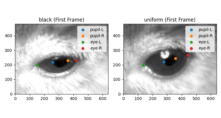 black (First Frame), uniform (First Frame)