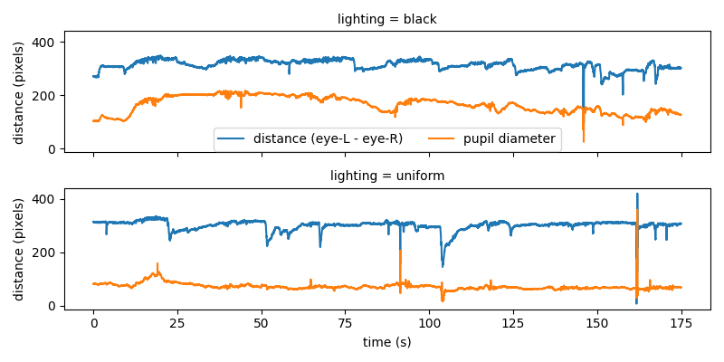 lighting = black, lighting = uniform