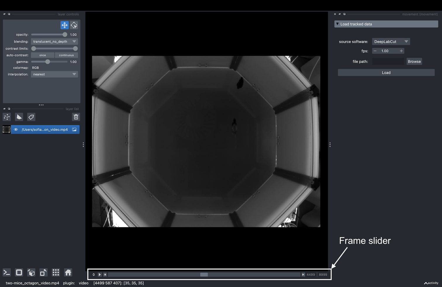 napari widget video slider