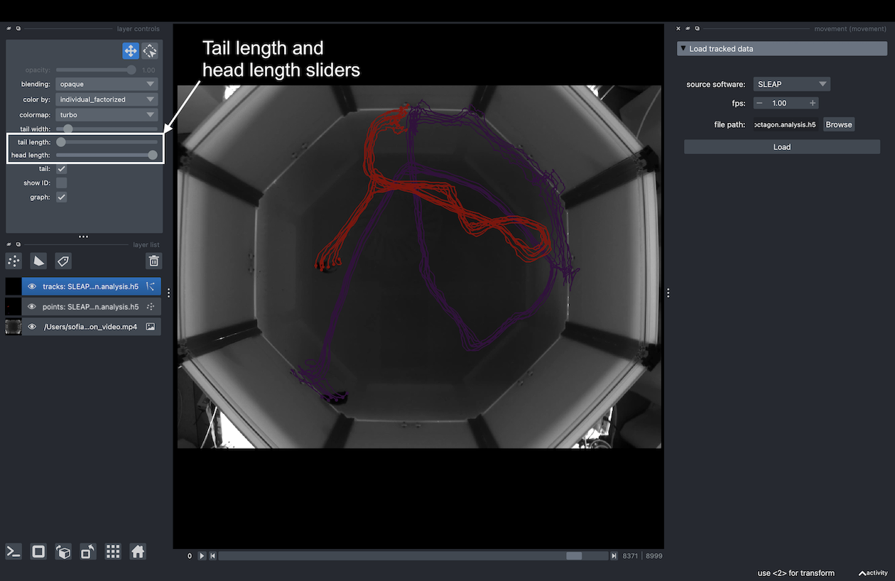napari tracks layer head length