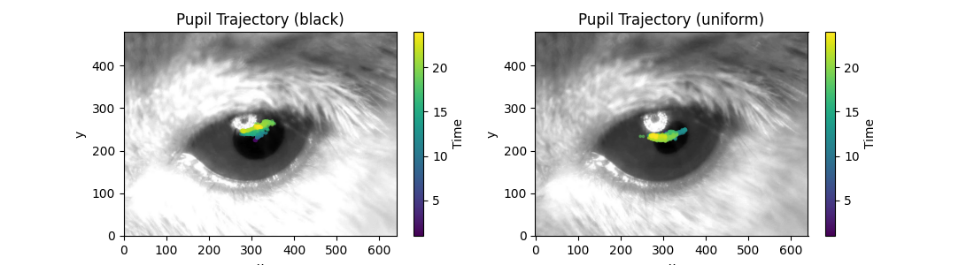 Pupil Trajectory (black), Pupil Trajectory (uniform)